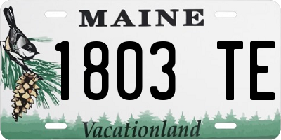ME license plate 1803TE