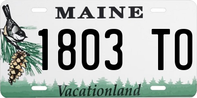 ME license plate 1803TO