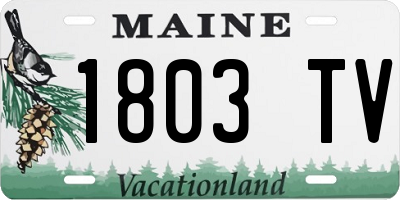 ME license plate 1803TV