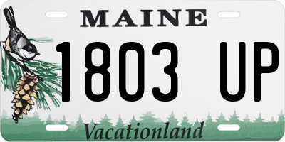 ME license plate 1803UP