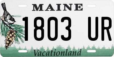 ME license plate 1803UR