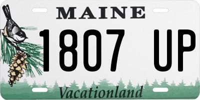 ME license plate 1807UP