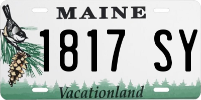 ME license plate 1817SY