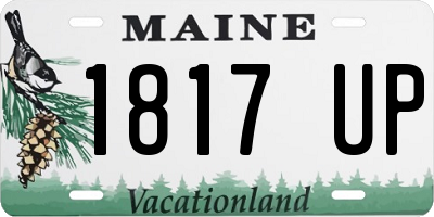 ME license plate 1817UP