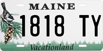 ME license plate 1818TY