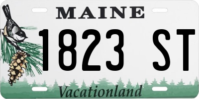 ME license plate 1823ST