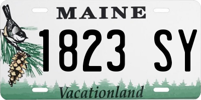 ME license plate 1823SY