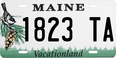 ME license plate 1823TA