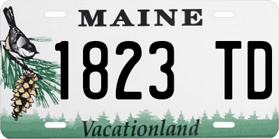 ME license plate 1823TD