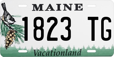 ME license plate 1823TG