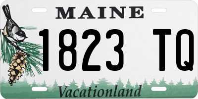 ME license plate 1823TQ