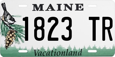 ME license plate 1823TR