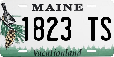 ME license plate 1823TS