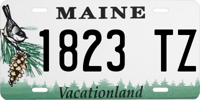 ME license plate 1823TZ