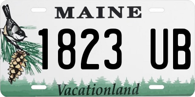 ME license plate 1823UB