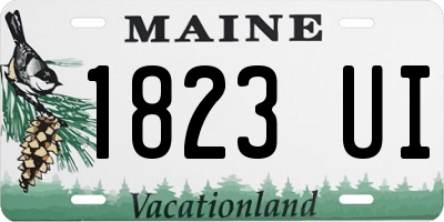 ME license plate 1823UI