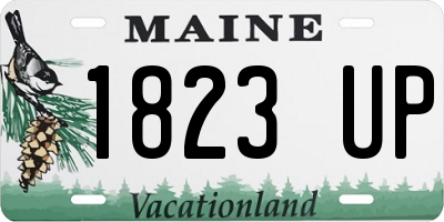 ME license plate 1823UP