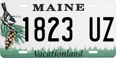 ME license plate 1823UZ