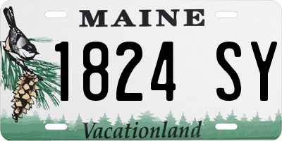 ME license plate 1824SY