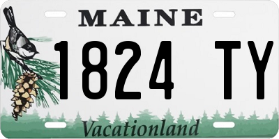 ME license plate 1824TY