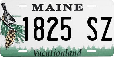 ME license plate 1825SZ