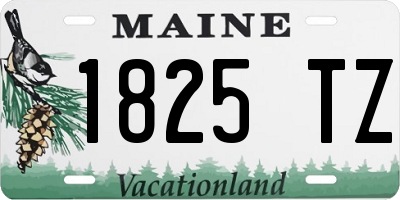 ME license plate 1825TZ