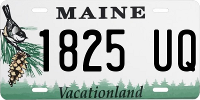 ME license plate 1825UQ