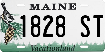 ME license plate 1828ST