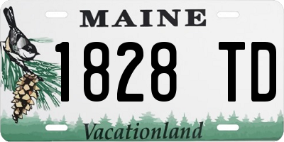 ME license plate 1828TD