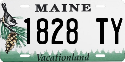 ME license plate 1828TY