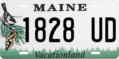 ME license plate 1828UD