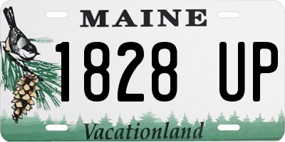 ME license plate 1828UP
