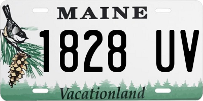 ME license plate 1828UV