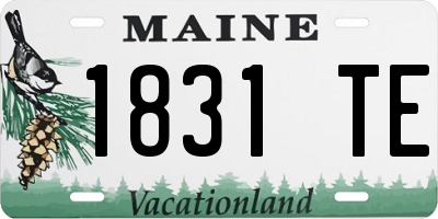 ME license plate 1831TE