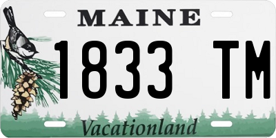 ME license plate 1833TM