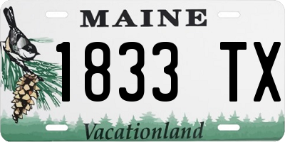 ME license plate 1833TX