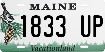ME license plate 1833UP
