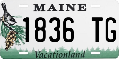 ME license plate 1836TG