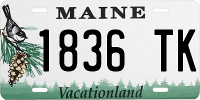 ME license plate 1836TK