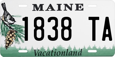 ME license plate 1838TA