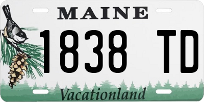 ME license plate 1838TD