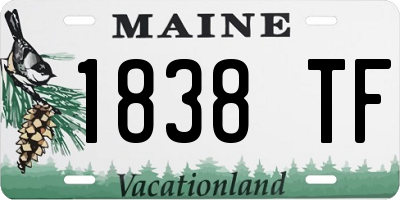 ME license plate 1838TF