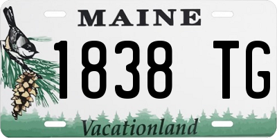 ME license plate 1838TG