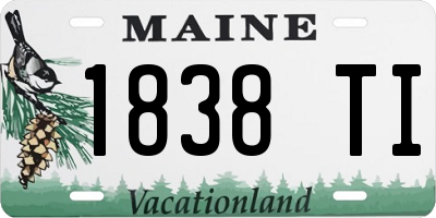 ME license plate 1838TI