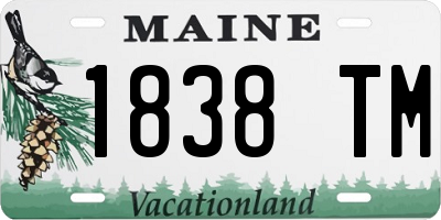 ME license plate 1838TM