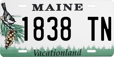 ME license plate 1838TN