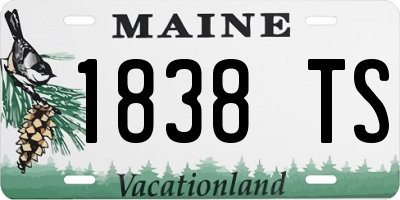 ME license plate 1838TS