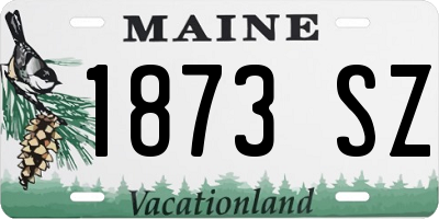 ME license plate 1873SZ