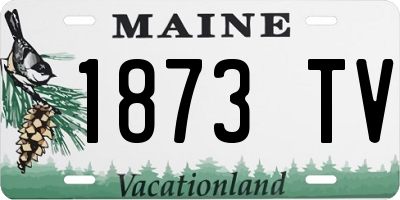 ME license plate 1873TV