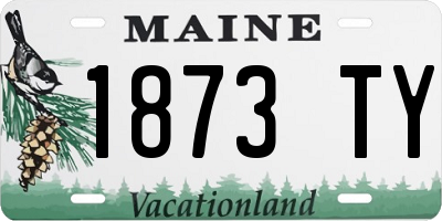 ME license plate 1873TY